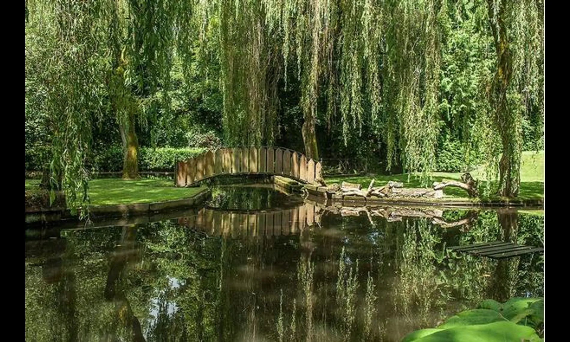 An arched timber bridge doubled in the still water of the gardens at Netley Mill House